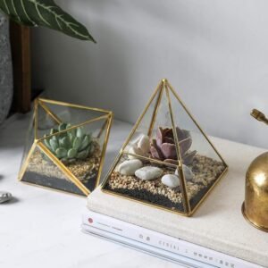 Terrarium Planter