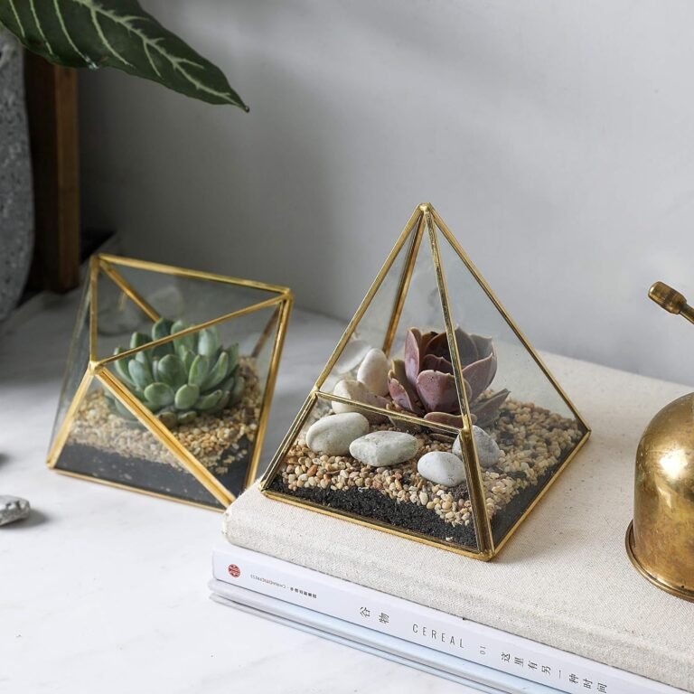 Terrarium Planter