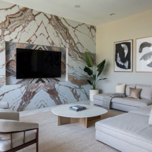 TV Entertainment Area