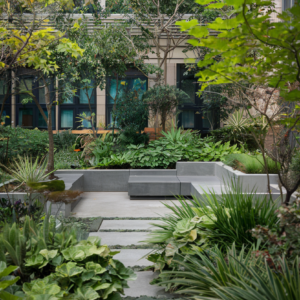 Terrace Garden