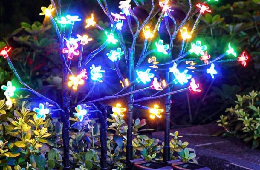 Solar Garden Light