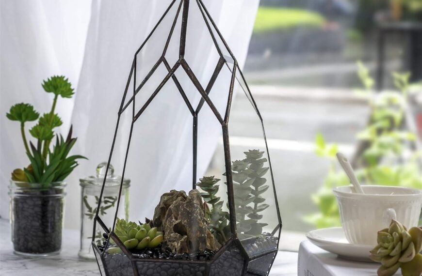 Geometric Terrarium Container
