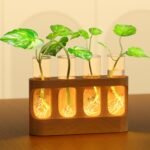 Modern Plant Propagation Station with LED Lights