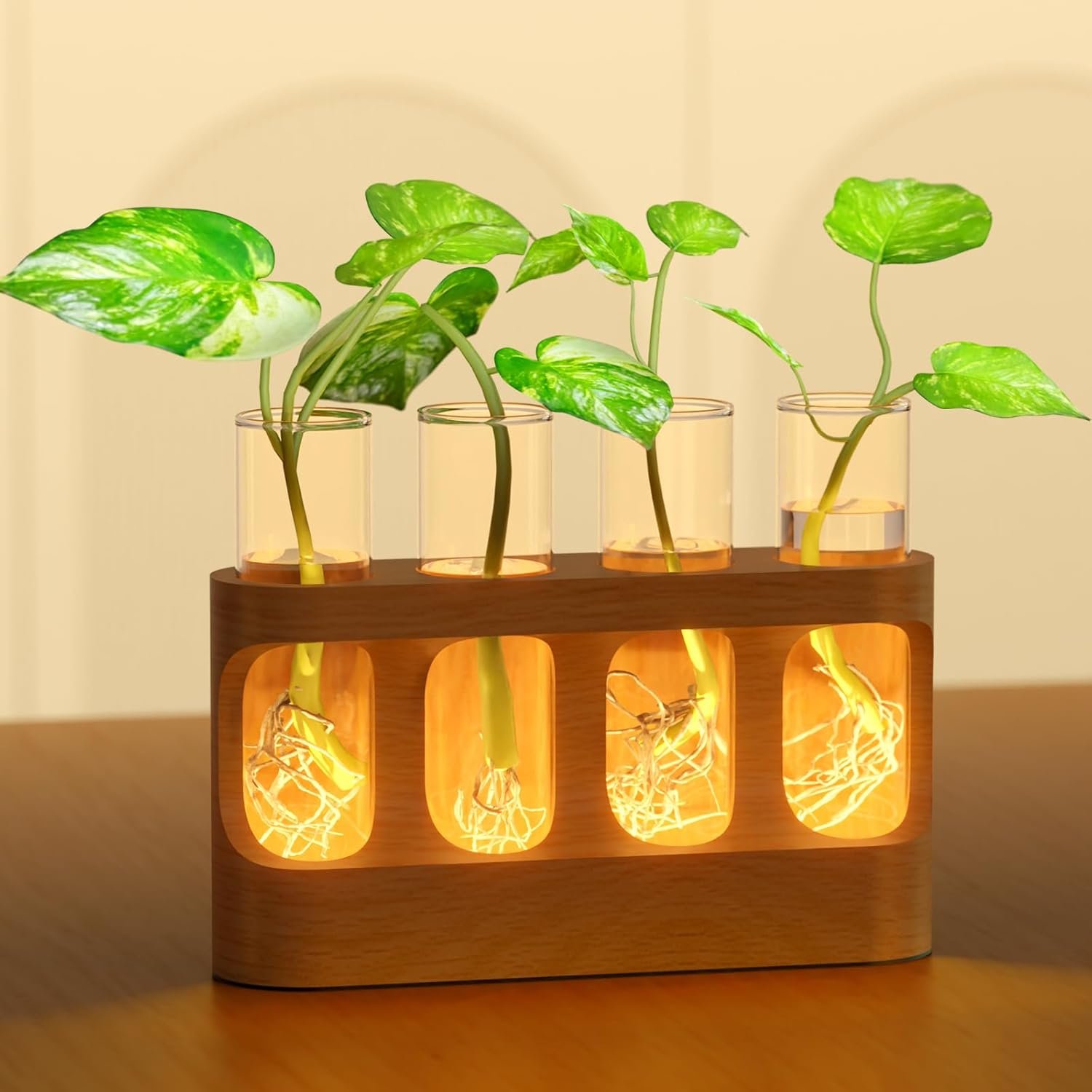 Modern Plant Propagation Station with LED Lights