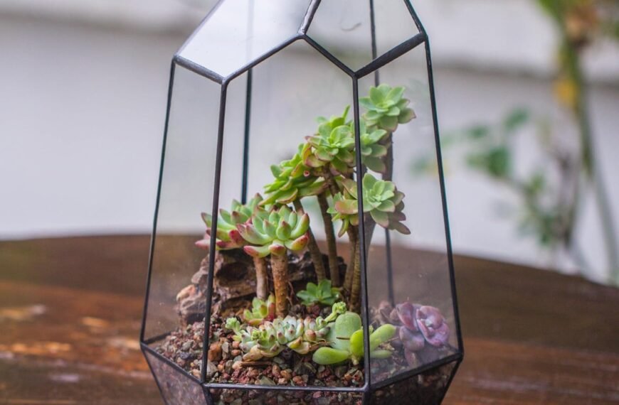 Modern Geometric Glass Terrarium