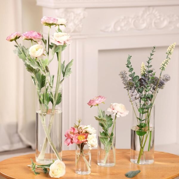 Clear Glass Cylinder Vases : A…