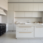 Modern Minimalist Kitchen
