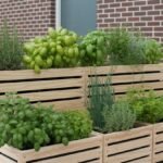 Herb Garden